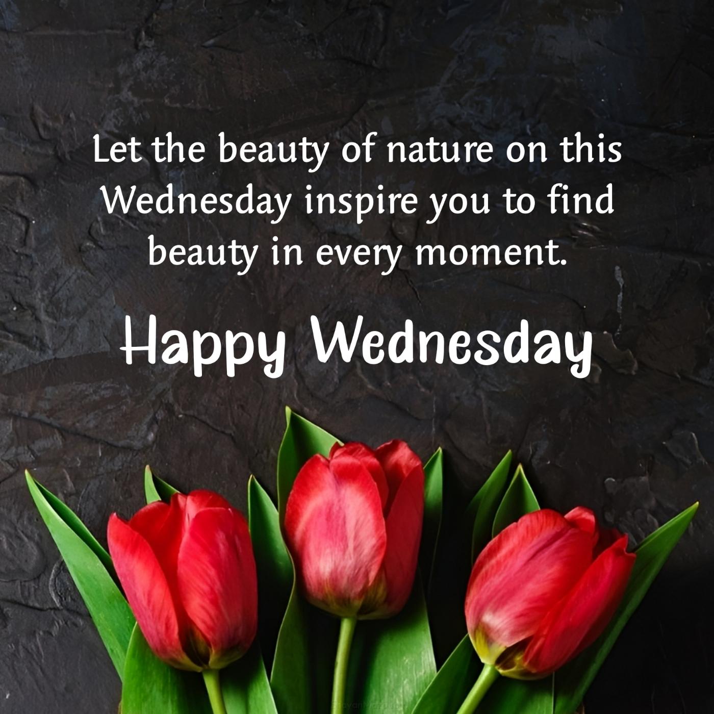 Let the beauty of nature on this Wednesday inspire you to find beauty in every moment