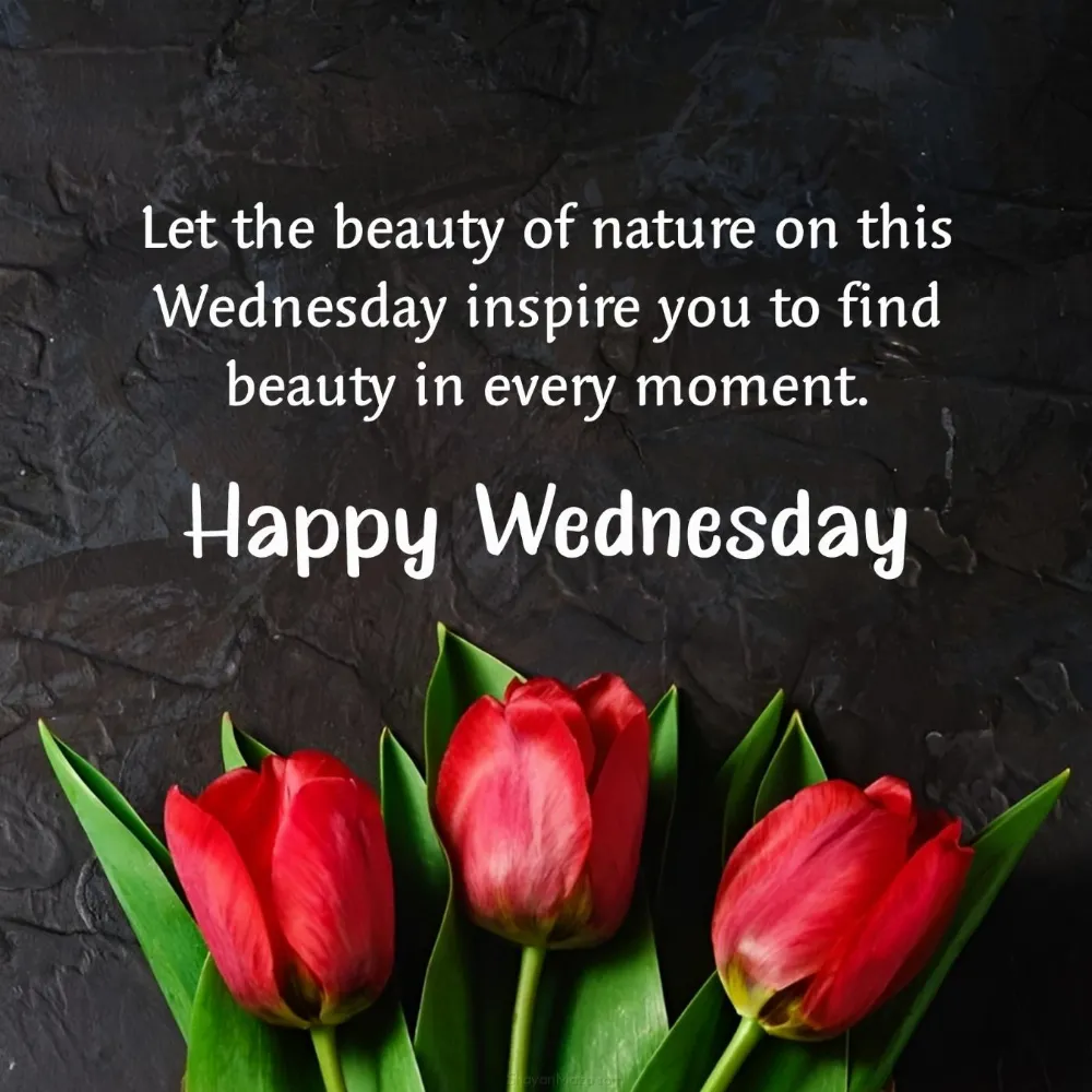Let the beauty of nature on this Wednesday inspire you to find beauty in every moment
