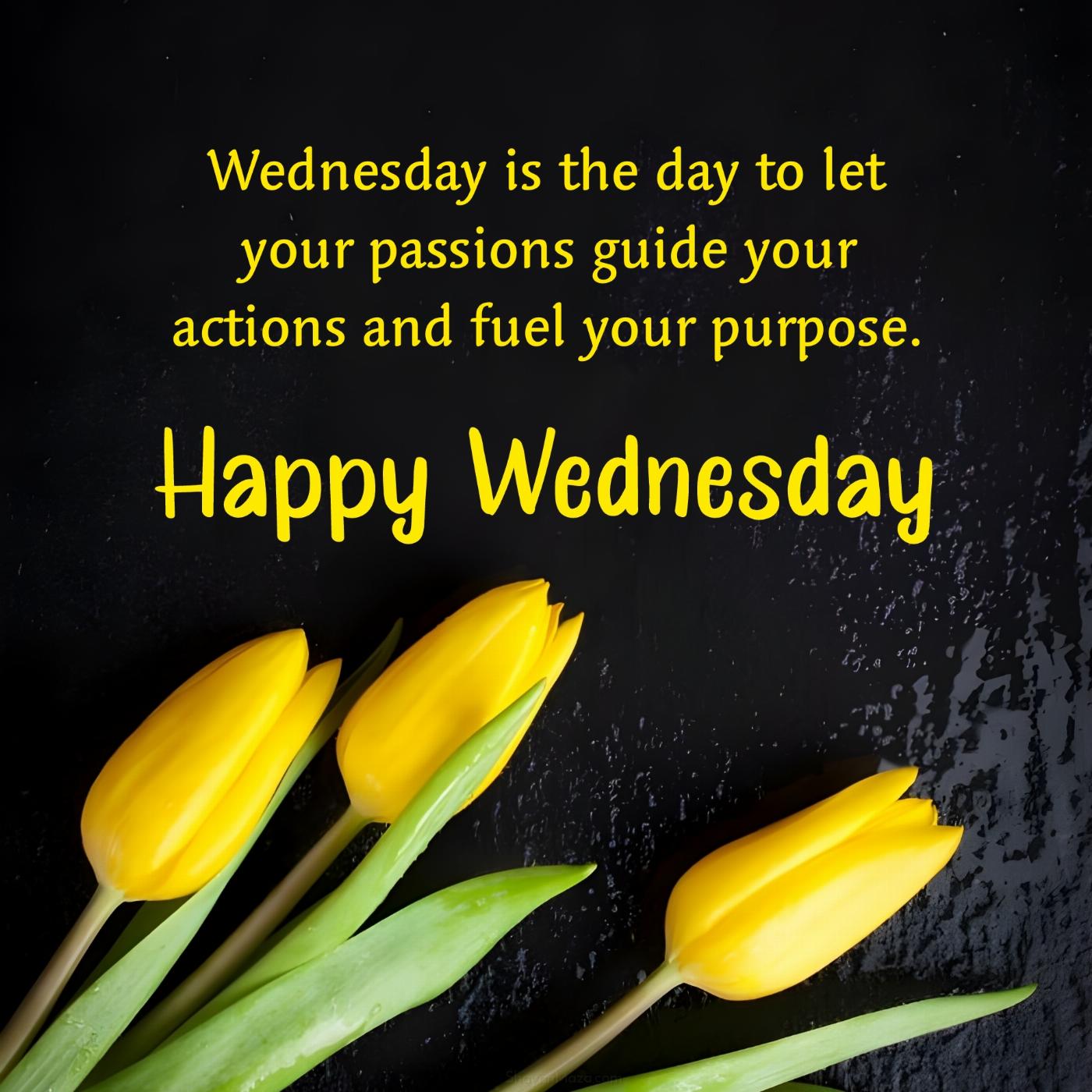 Wednesday is the day to let your passions guide your actions and fuel your purpose