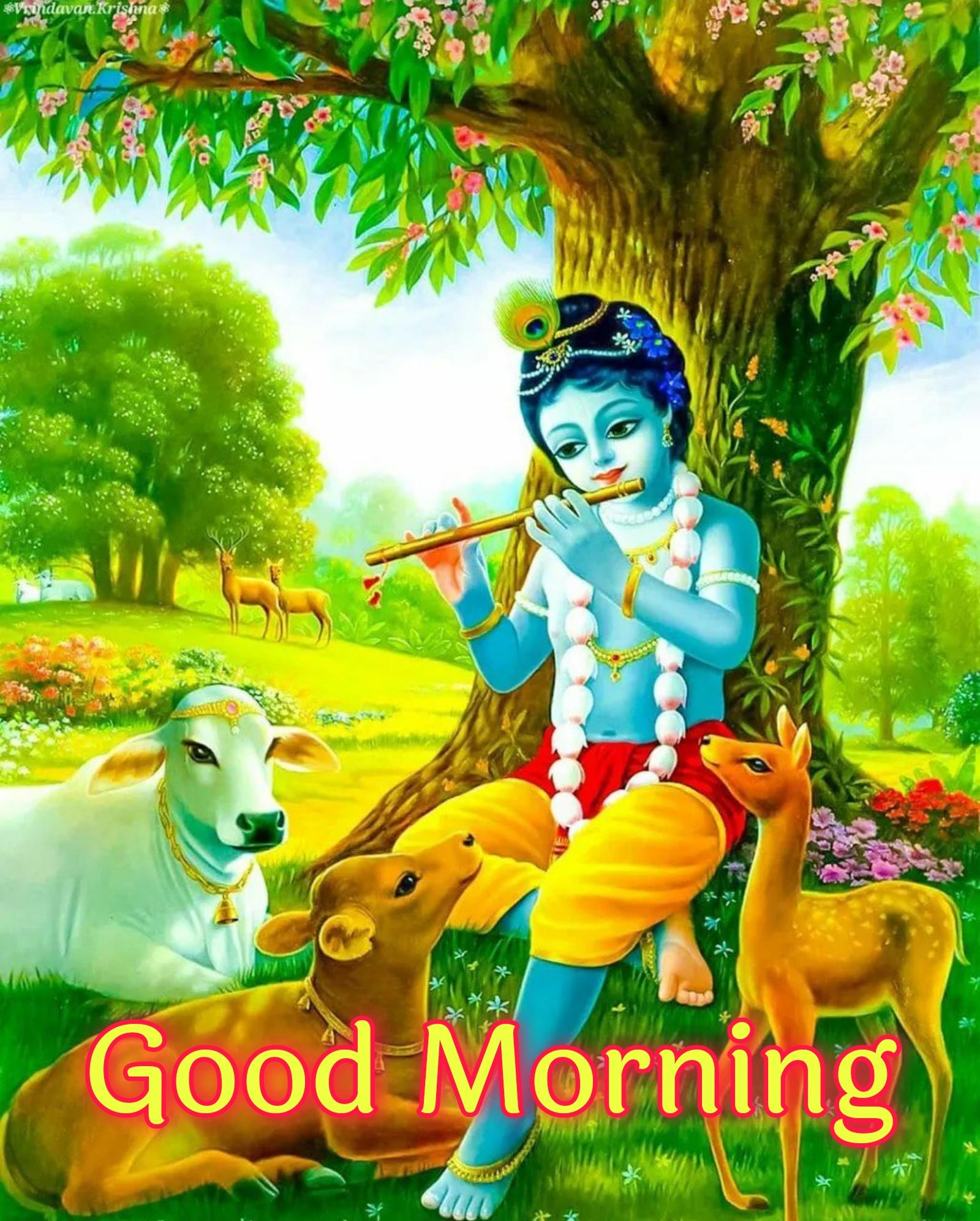 Good Morning Krishna Photo - ShayariMaza