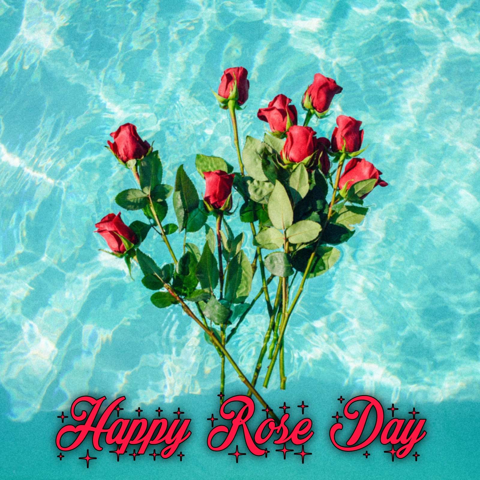 Happy Rose Day Images for WhatsApp & Facebook DP