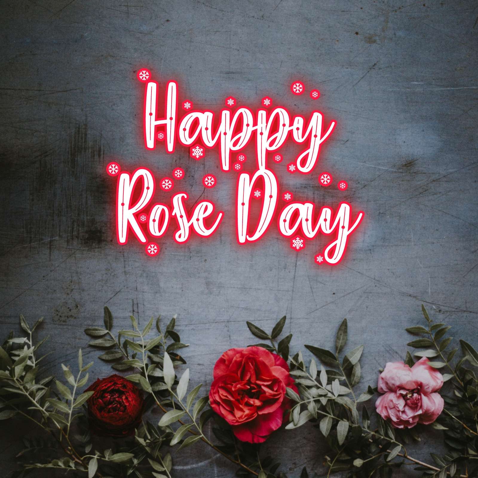 Happy Rose Day Wallpaper - ShayariMaza