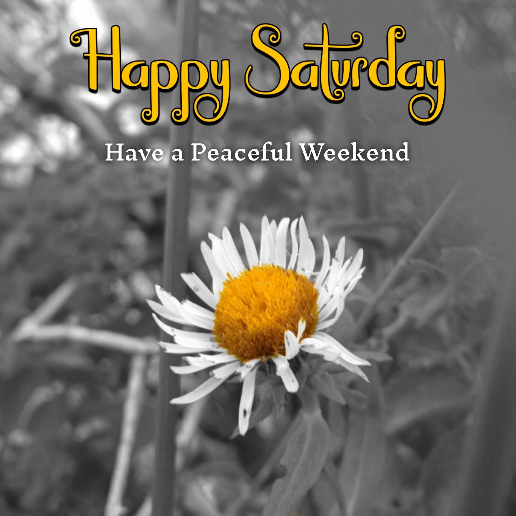 Happy Saturday Have A Peaceful Weekend Images - ShayariMaza