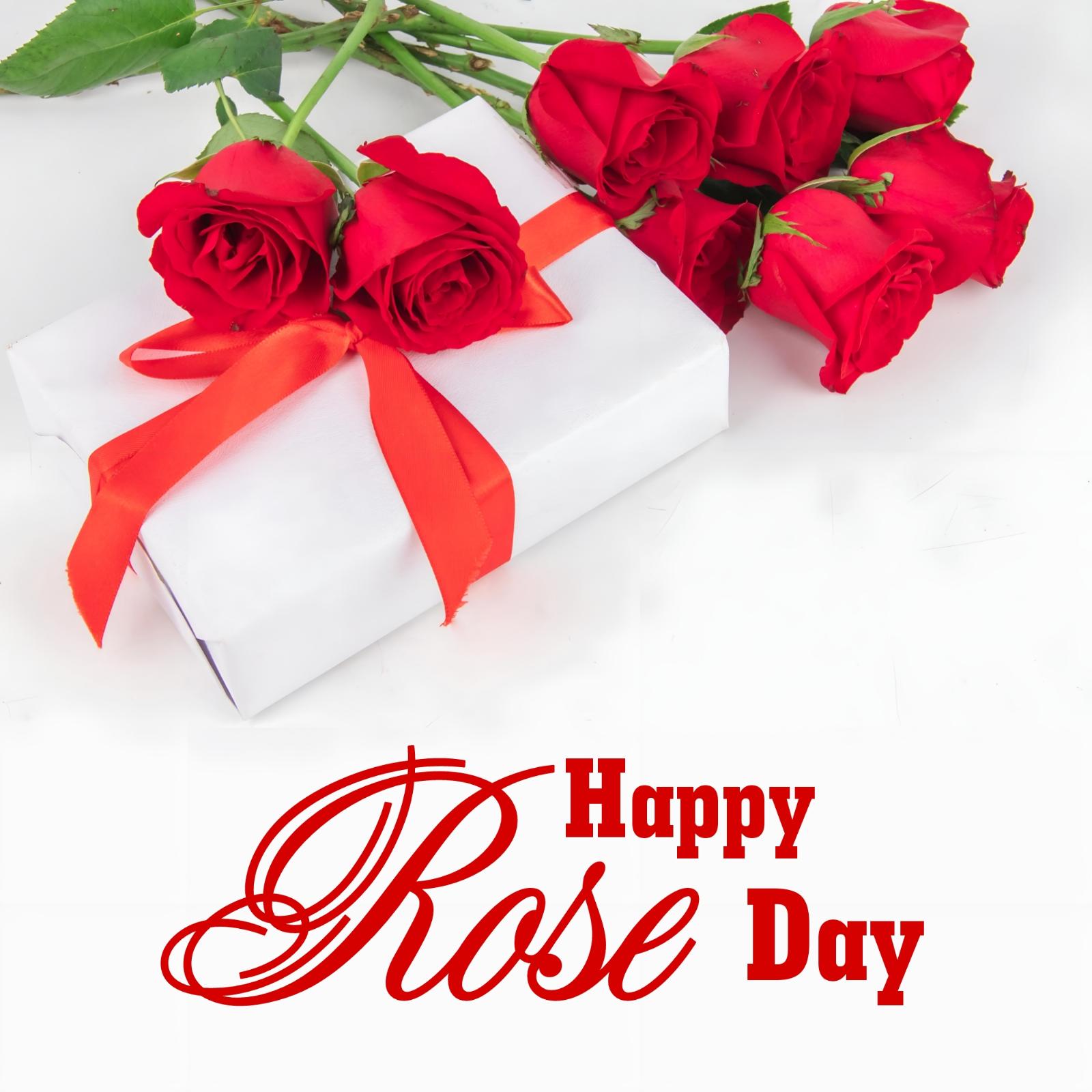 New Happy Rose Day 2023 Images HD Download - ShayariMaza