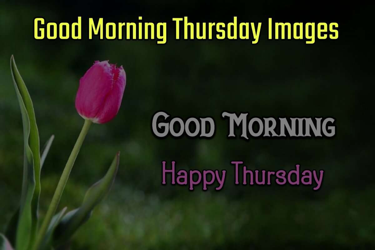 Good Morning Thursday Images for WhatsApp and Facebook