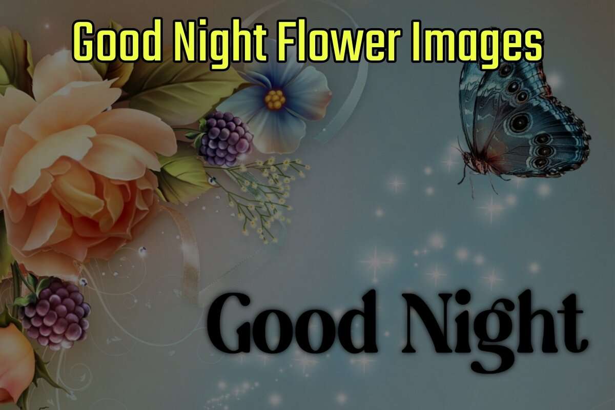 Good Night Flower Images