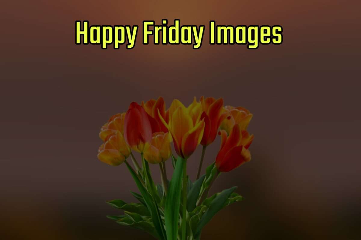 Happy Friday Images for Whatsapp and Facebook