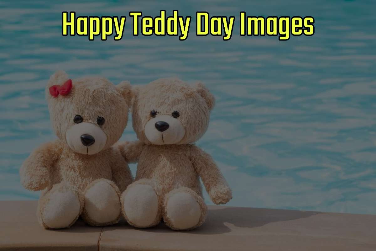 Happy Teddy Day Images for WhatsApp & Facebook DP