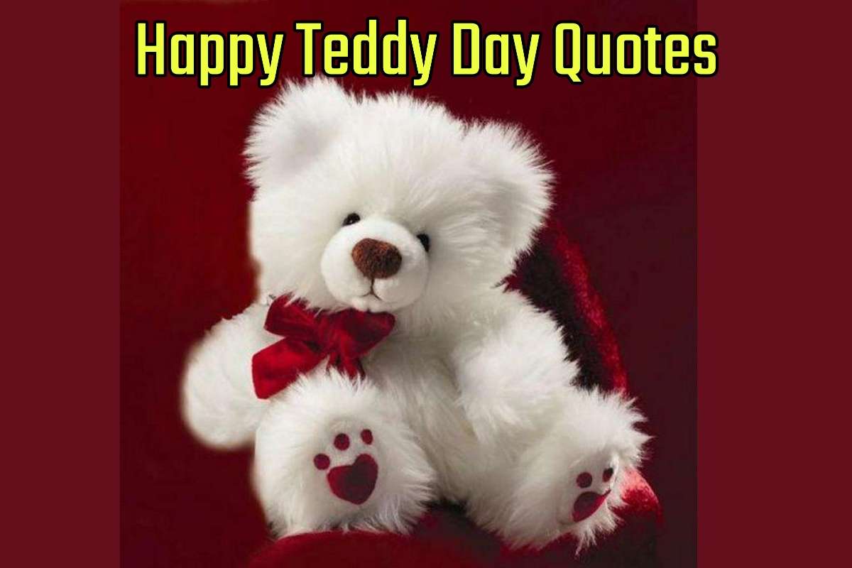 Happy Teddy Day Quotes