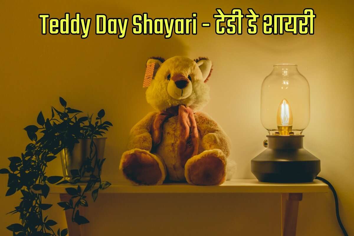Happy Teddy Day Shayari in Hindi - हैप्पी टेडी डे शायरी इन हिंदी