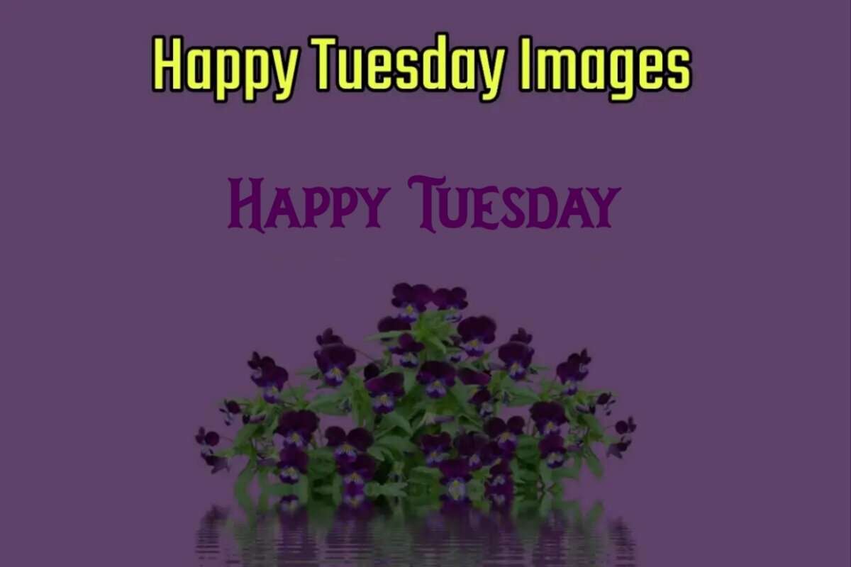 Happy Tuesday Images for Whatsapp and Facebook