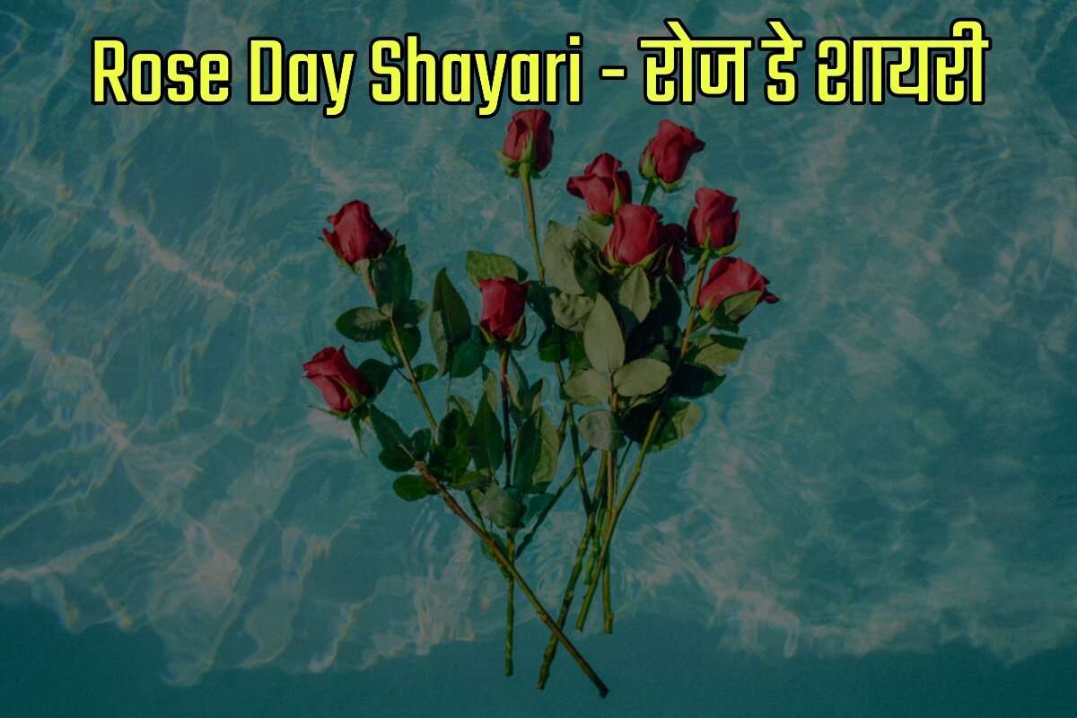 Rose Day Shayari in Hindi - रोज डे शायरी इन हिंदी