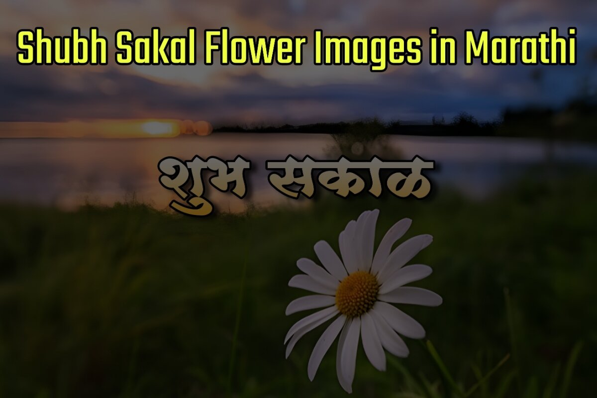 Shubh Sakal Flower Images In Marathi - शुभ सकाळ फुलांचे फोटो