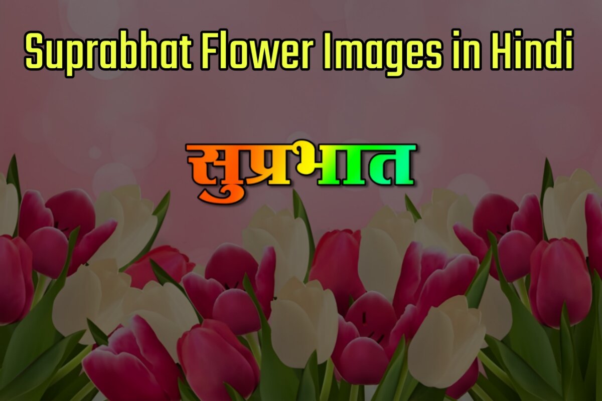 Suprabhat Flower Images In Hindi - सुप्रभात फूलों के साथ तस्वीरे